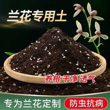 �m���������m�����m���àI�B��͸��ٸ��Nֲ�����m�ƻ���ͨ���m�`