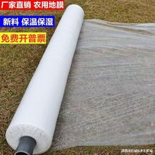 䁵ĤɫN׵سĤNĤĤ1.5׌Ĥm