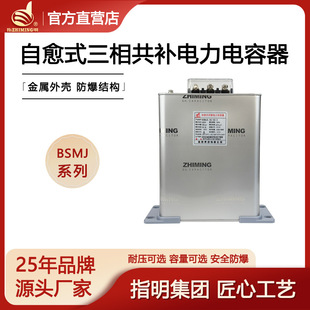 Point Out the Manufacturer Bsmj0.48-30-3 Three-Phase Compensated Self-Healing Parallel Low-Voltage Capacitor Power Capacitor