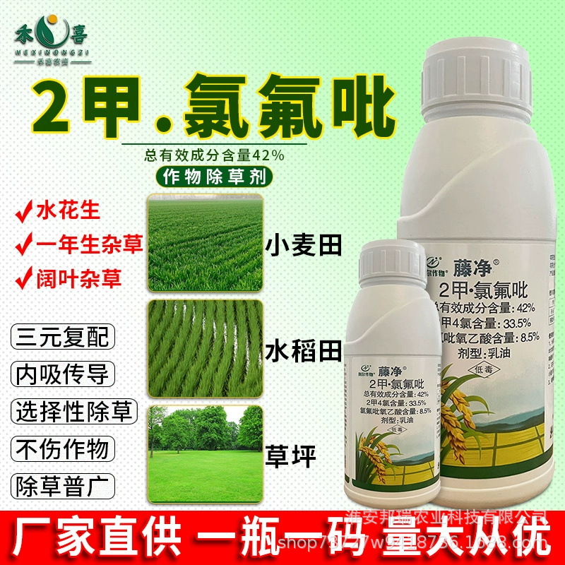 利尔藤净2甲氯氟吡草坪除草剂小麦水稻一年生阔叶杂草水花生专用