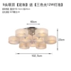9 head ceiling with light source