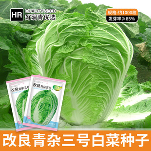 ���S���l�������s��̖�ײ˷N�Ӷ�����偲˴�ײ˷N���＾��Ӳ�