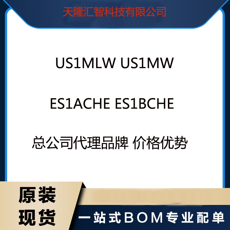 US1MLW US1MW  ES1ACHE ES1BCHE总公司代理品牌 价格优势咨询下单
