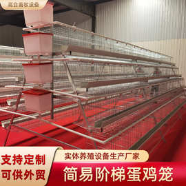 四层五门蛋鸡笼养殖场鸡笼镀锌笼子三层四层阶梯蛋鸡笼工厂可外贸