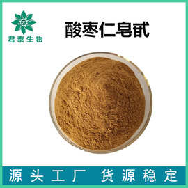 酸枣仁皂甙 2%~10% 酸枣仁皂苷 酸枣仁提取物 酸枣仁粉 原料粉
