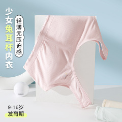 薄手の防凸点発育期の女の子の下着8-12-15歳の高校生の少女の胸の運動の小さいベスト