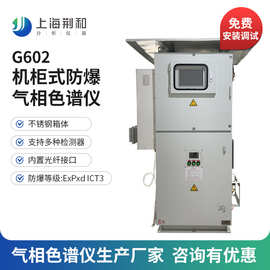 荆和 G602工业在线气相色谱仪 国产气相色谱仪生产厂家