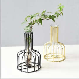 -Nordic style simple light luxury iron vase test tube glass