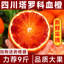四川塔羅科血橙10斤當季新鮮水果中華紅心橙手剝果凍甜橙雪橙包郵