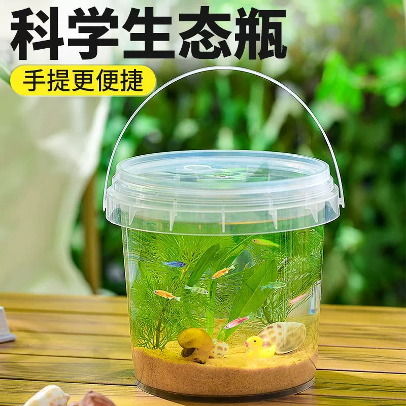 Портативный экологический ландшафтный аквариум для путешествий, настольный офисный аквариум для ленивых новичков, универсальный аквариум