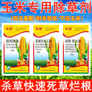 �Ň�����������ó��݄����ȵؠ����rș���׻�¡ݬȥ�����ǲ�ͪ