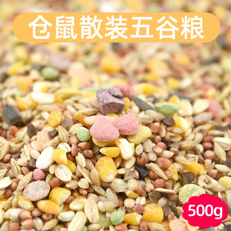 Зерно хомяка Хомяк Зерно Хомяк Зерновой Хомяк Поставляет Самонападающие зерновые лапши Золотой медведь оптом