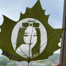 杰抖音视频直播平安叶干树叶植物干燥处理激光雕刻照片图案叶雕材