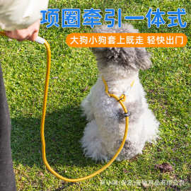 狗狗牵引绳p绳p链遛狗绳子狗绳防爆冲链子小中大型犬外出遛狗狗绳