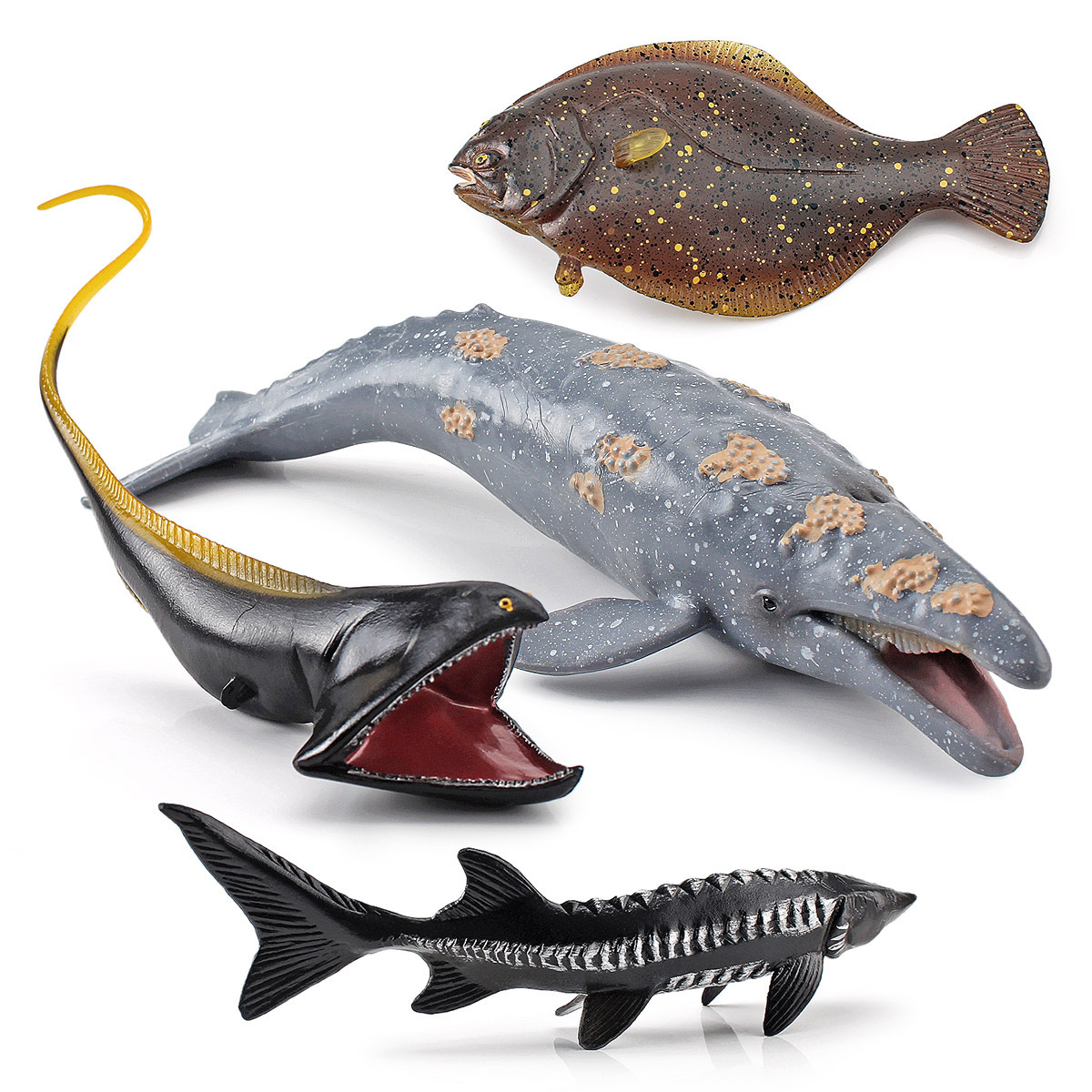 Transfronteriza exportación simulación animal marino ballena gris amplia golondrina angula platija esturión modelo decoración cognitiva juguete