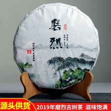 2019ĥҹŘնն ~l