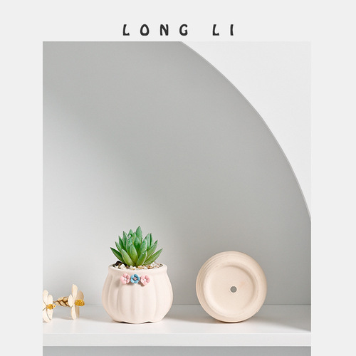 Longli Ceramic Succulent Planter Decor Home Decor Succulent Planter Wholesale Gardening Planter Ceramic Plant Pot