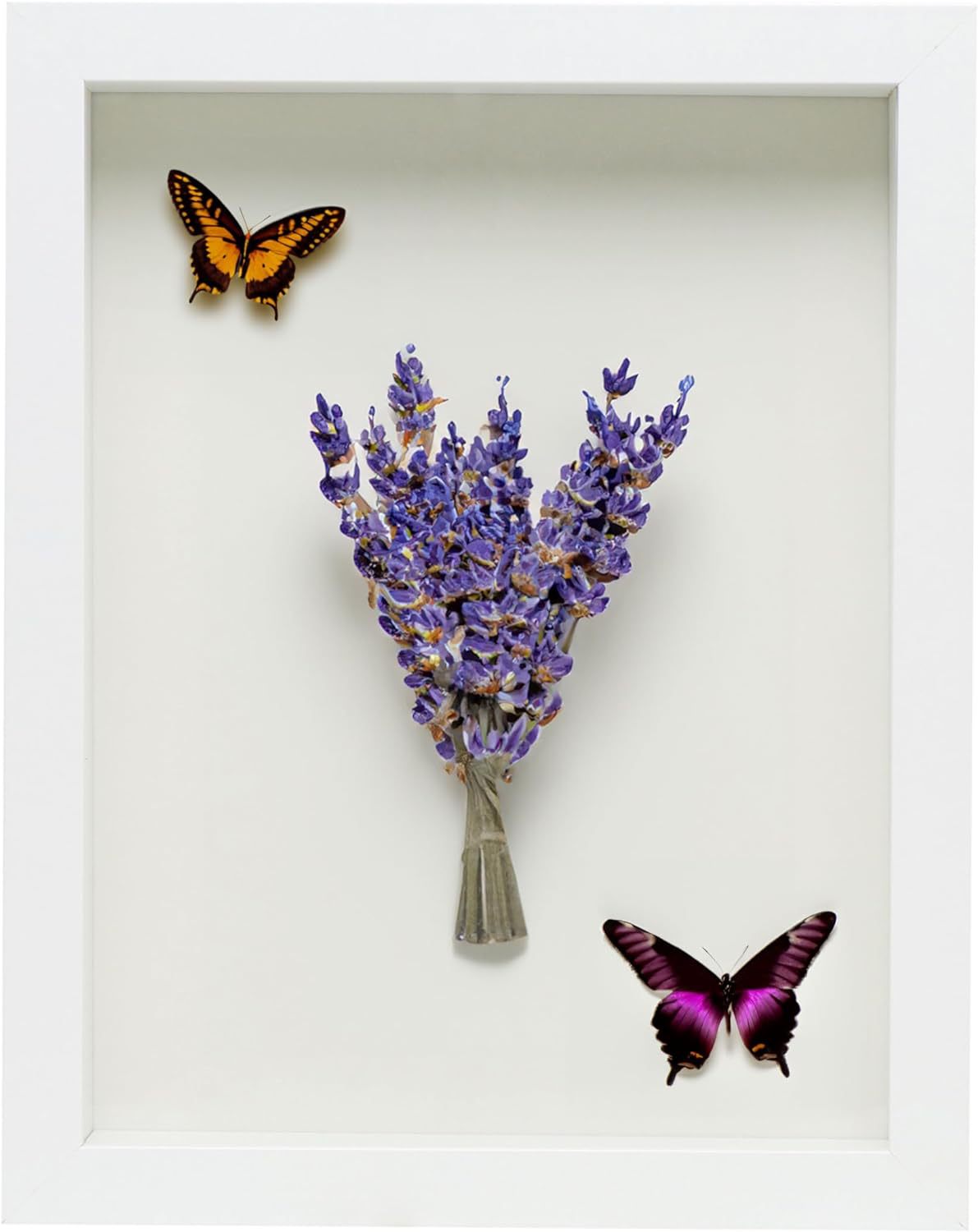 19.1*3.8*24.1cm 흰색