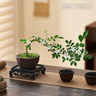 С�~�h֦������������ʽ�辰�҃��k���ҕ���ֲ���ļ������b[��