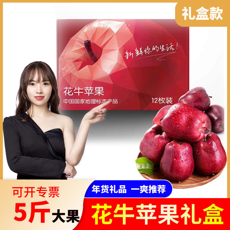 【节日礼品】甘肃天水花牛5斤礼盒12枚大果新鲜应季水果粉面蛇果