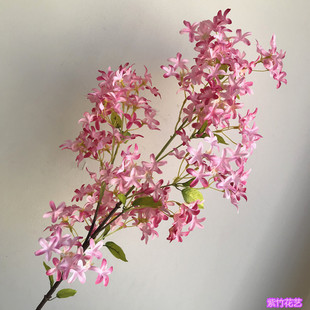 �L֦�ΗU���㻨��ޱ�� �ř������b���������ֻ/����@�Ļ��k��