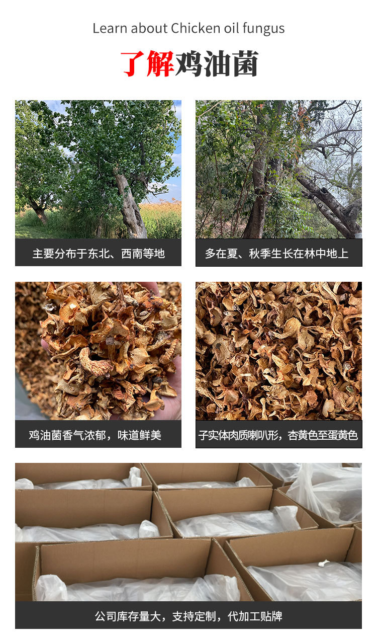 鸡油菌干货详情页zz_06.jpg