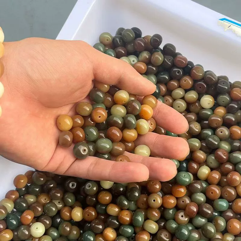 Производители оптовой продажи натурального корня бодхи, обжаренный на углях