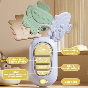 Amazon Infant Simulation Music Car Key Toy Remote Control Light Music Baby Early Education Educational Play