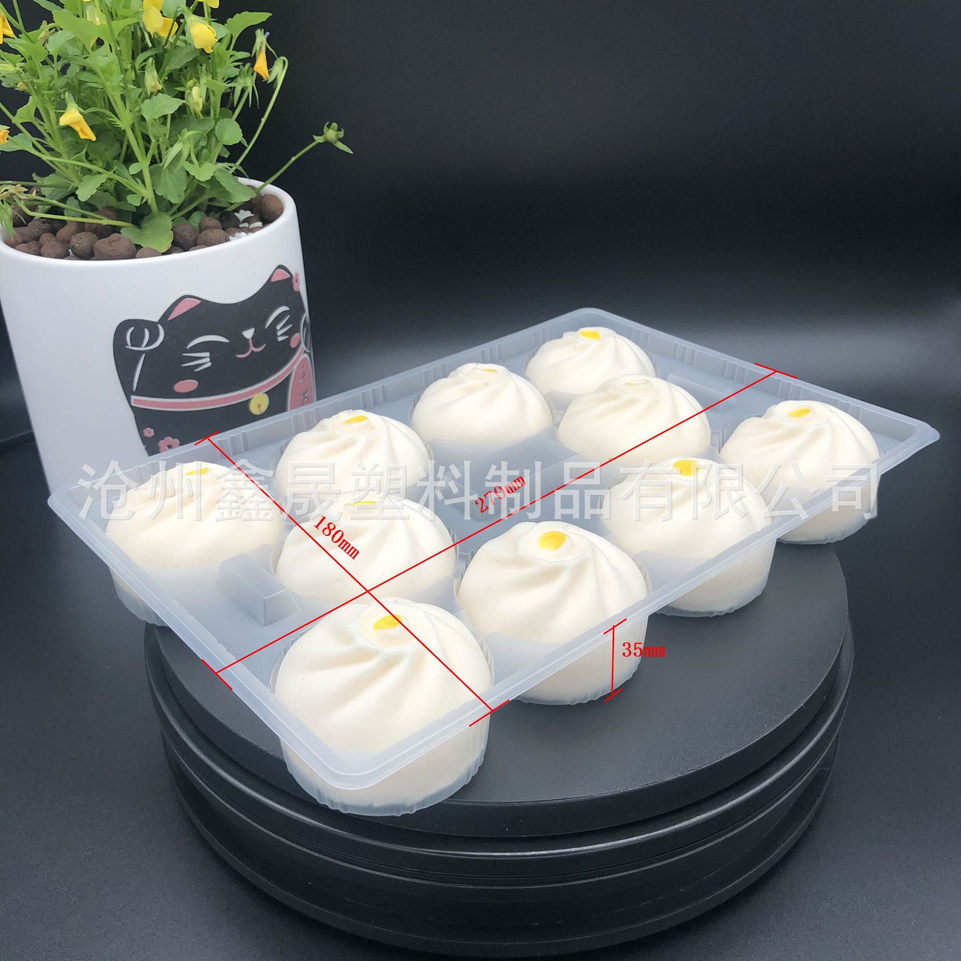 10格汤包笼包托盘  一次性速冻食品塑料托盘 一次性外卖打包盒