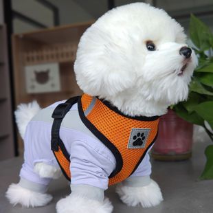Breathable Mesh Harness for Small Dogs with Leash Leash Pet Harness Style Adjustable Dog Harness Vest