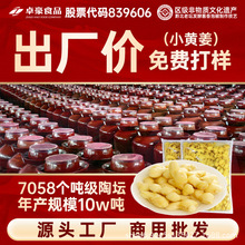 小黄姜四川老坛泡姜农家正宗盐水老黄姜商用炒菜散称调料批发