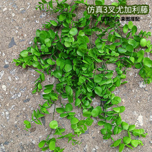 ���l����Gֲ�ȼ�����ϵ���ٗl�Nֲ�ȼ����~�F؛ֱ�l�ٗl�쾰�b�