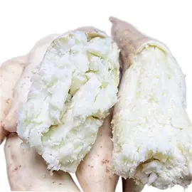 块茎类;苹果;其他水果