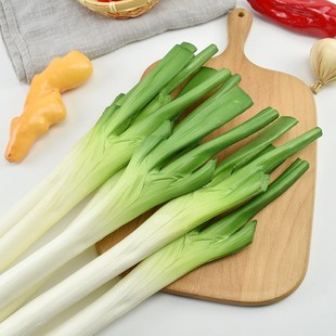 Pu Onion Vegetable Fake Green Onion Model Photography Cabinet Decoration Props Kidsren's Early Education Toys