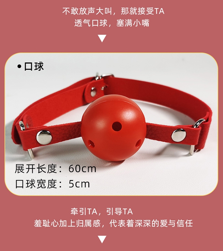 SM Bondage Ten-Piece Set with Handcuffs, Leather, Metal and Plush, Black and Red — detail image 21