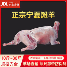 烧烤全羊整只宁夏滩羊整只10-30斤羊新鲜冷冻烤全羊活羊现杀