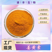 姜黄素 98% 姜黄根提取物 姜黄粉 食品级 工厂现货直发 量大优惠