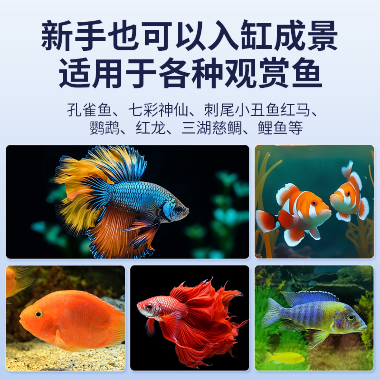 商品图