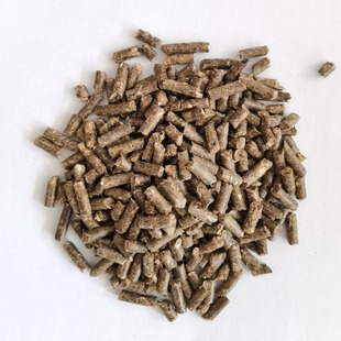 �ЙC���ϴ�ȫ�Z�w�������S�u�Sţ�S���S�����w�������ЙC��