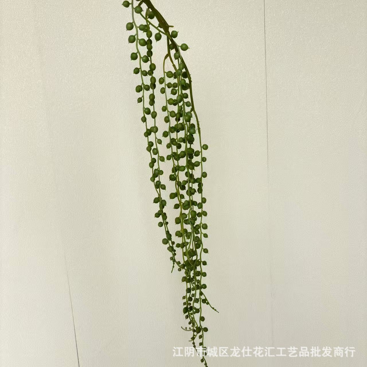 Ramas de uva colgantes