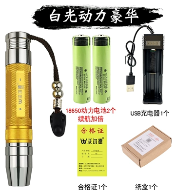 light, fully automatic, for inspecting, UV fənərlər - golden-egg-shaped-light-powerful-luxury-with-two-brightness-settings