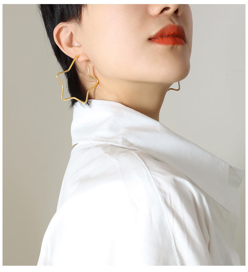 Fashion star titanium steel earrings