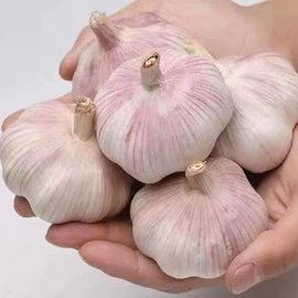 脱水蔬菜;蒜;其他调味品