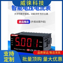 议~东崎DLW系列全自动LED智能数显pid电压电流表电压测试表数字表