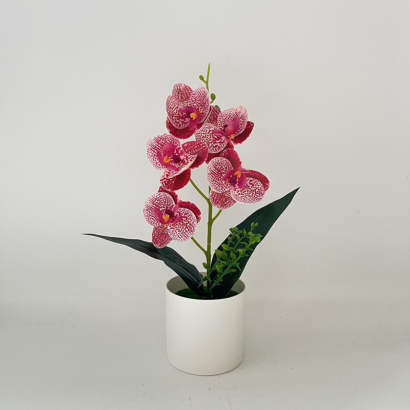 스팟 파우더 (높이 31*가로 17cm)