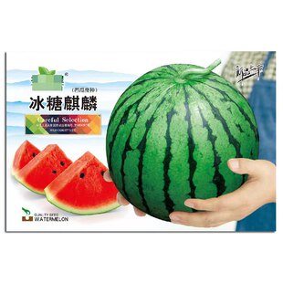 �����������ϷN���r��˵��ǲ����ѹ����\ݔ�������ļ���Ƥ