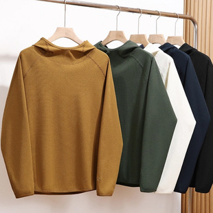 ��1190 ��BLϵ��  TEX�߼��A��� ����͸����ʿ�����Bñ�L���l��