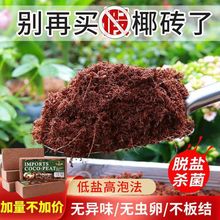 Ҭ�uͨ����Ү�uֱ�N�N�������B������N�ˠI�B��Ҭ����һ�����l