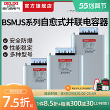 德力西自愈式低压并联电力电容器BSMJS0.45 耐压450V无功补偿20-3