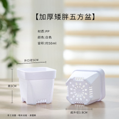 小さい植木鉢の卸売りは特に厚いです。